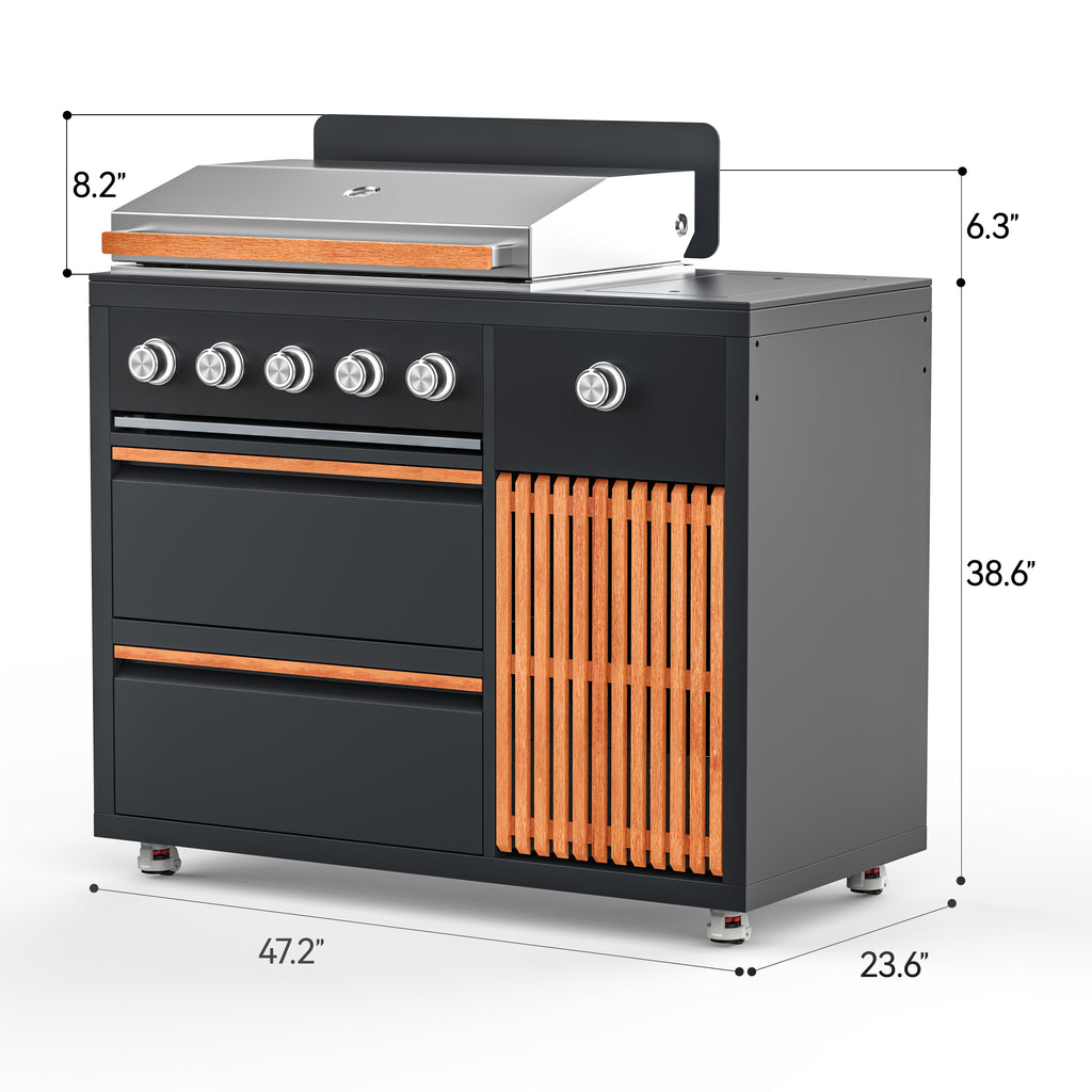 BBQ Grill with Side Burner Module