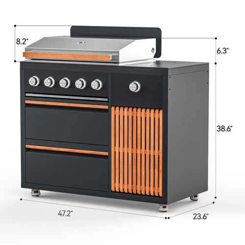 BBQ Grill with Side Burner Module