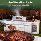 2-Pack Charcoal Tray for V-SERA Series Grill